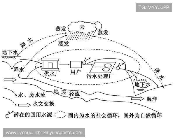 解析水上运动中的水流阻力与推进效率